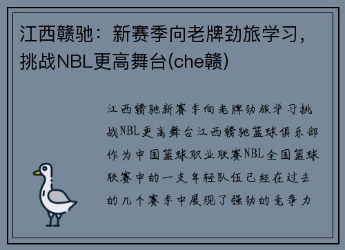 江西赣驰：新赛季向老牌劲旅学习，挑战NBL更高舞台(che赣)