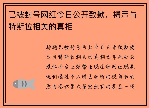 已被封号网红今日公开致歉，揭示与特斯拉相关的真相