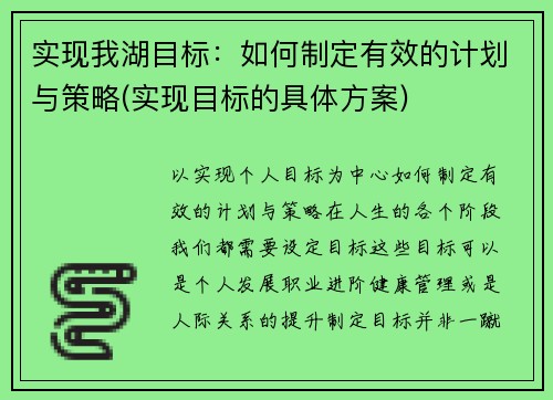 实现我湖目标：如何制定有效的计划与策略(实现目标的具体方案)