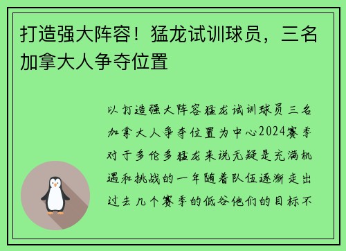 打造强大阵容！猛龙试训球员，三名加拿大人争夺位置