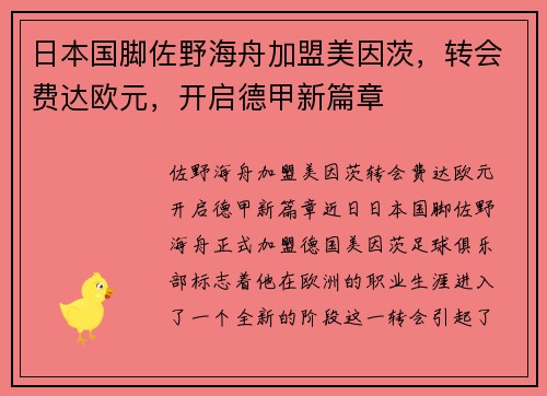 日本国脚佐野海舟加盟美因茨，转会费达欧元，开启德甲新篇章