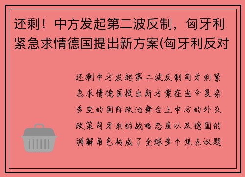 还剩！中方发起第二波反制，匈牙利紧急求情德国提出新方案(匈牙利反对派称若当选将终止中资计划)